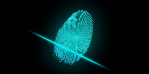 Destruction of Fingerprint Evidence and Photographs